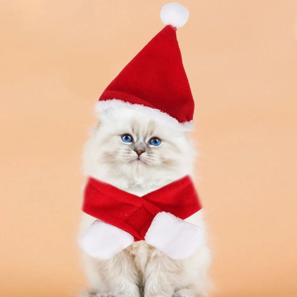 Dog Cat Christmas Outfit Cape Hat Scarf NEW